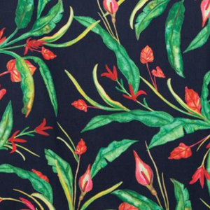 Costa Rica- 100x45 CM